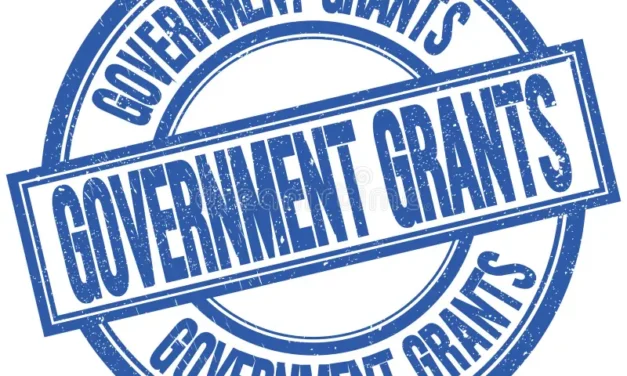 What government grants are available for this Medical Device industry in Tamil Nadu?